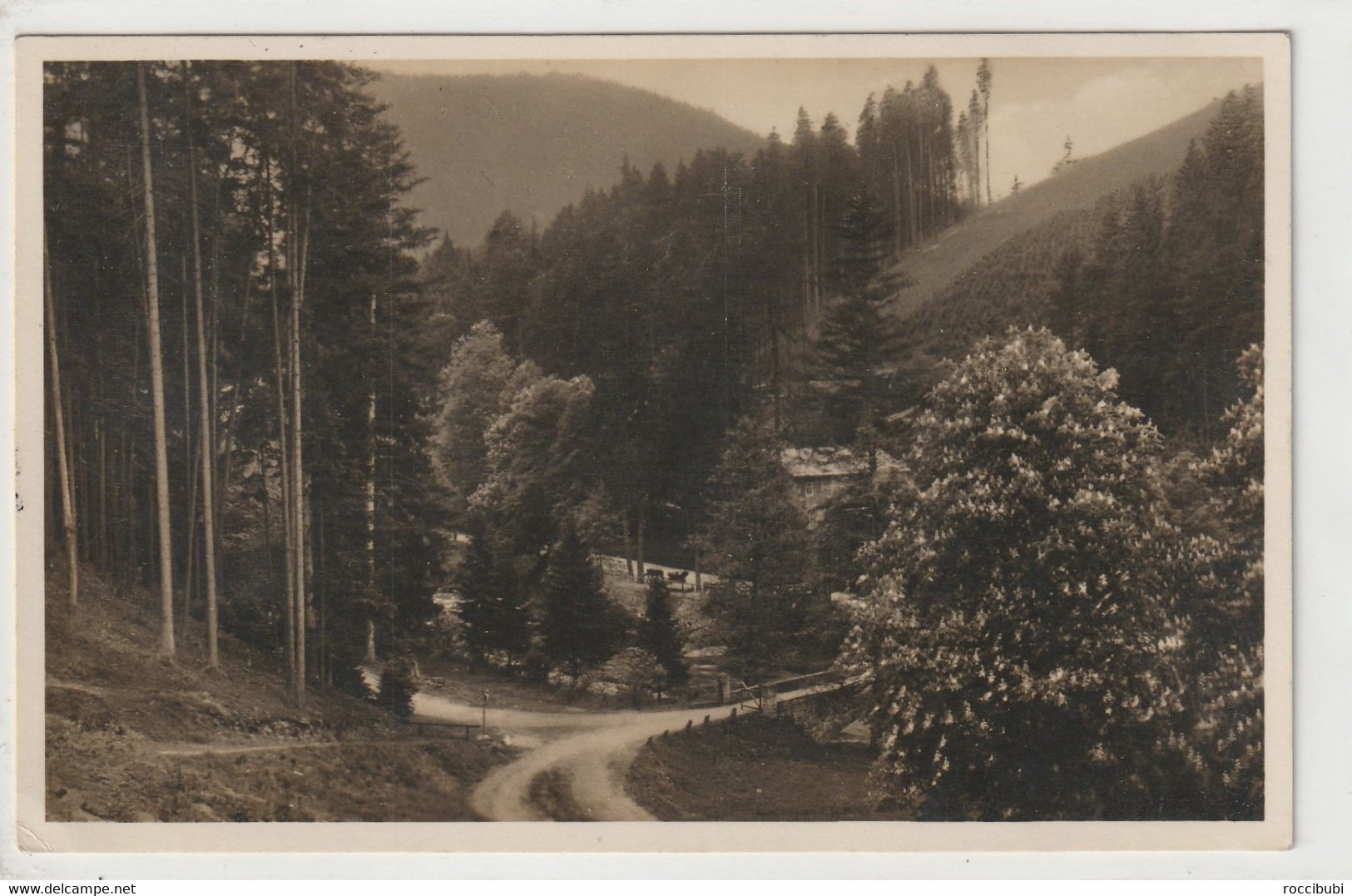 Schwarzatal, Schwarzburg, Thüringer Wald - Altenburg