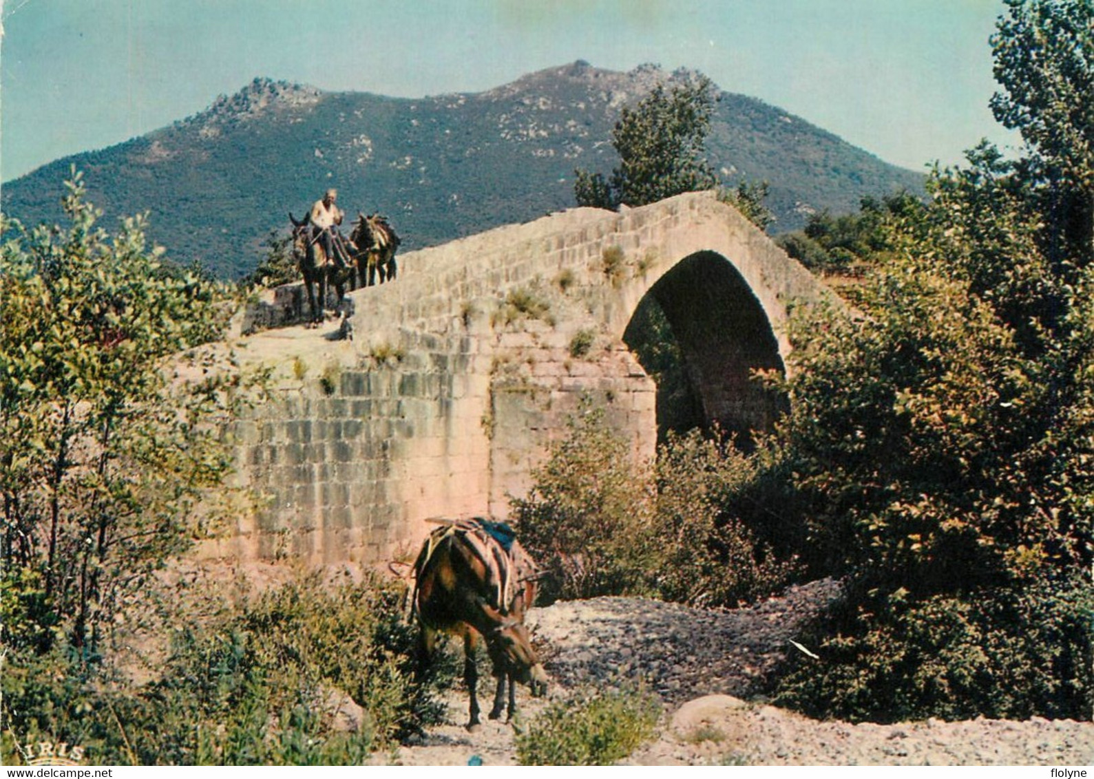 Sartène - Environs - Le Pont Génois - Corse Du Sud 2A - Sartene