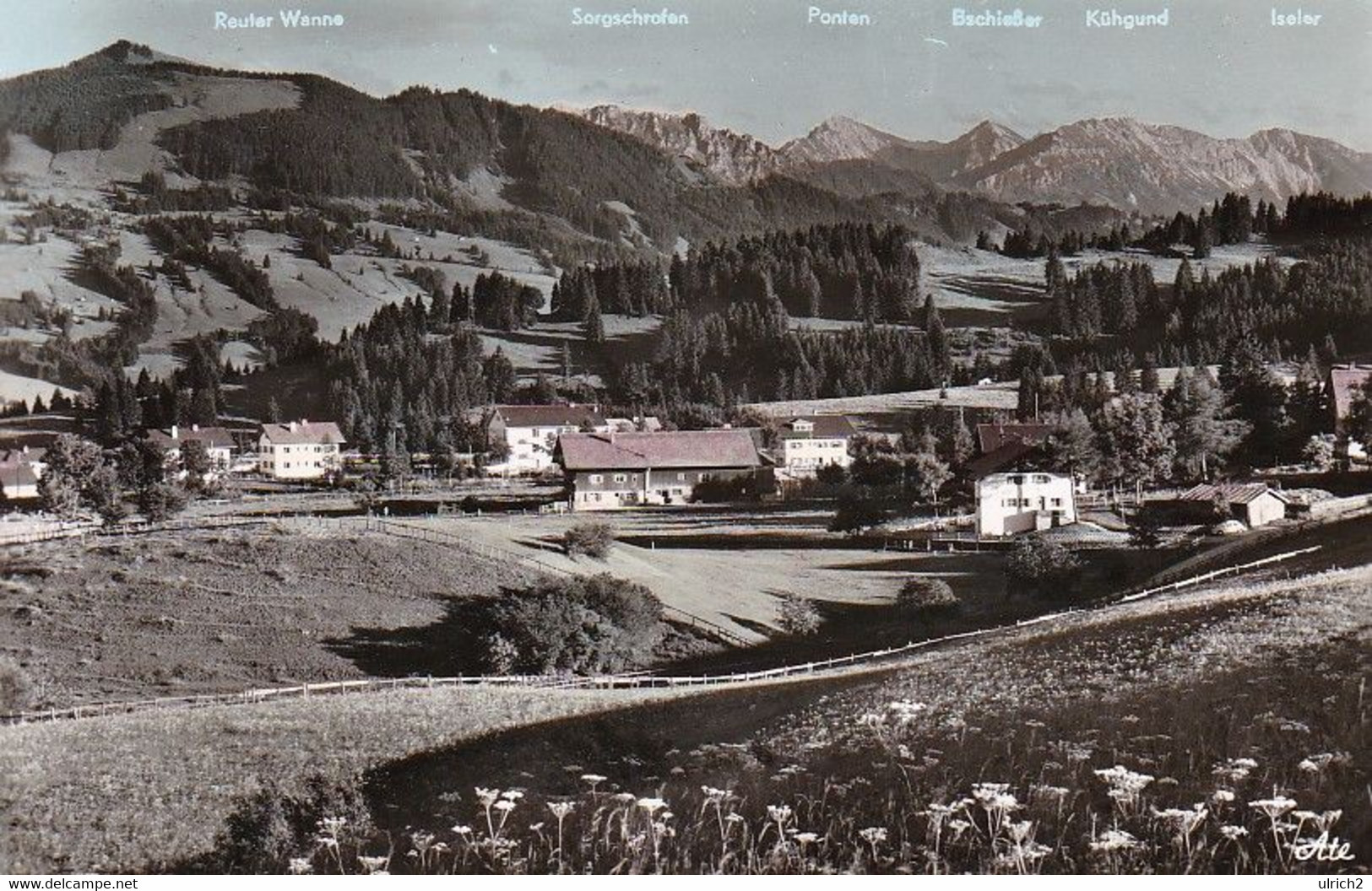 AK Mittelberg Im Allgäu - Blick Auf Allgäuer Und Tiroler Berge - 1965 (58428) - Mittelberg