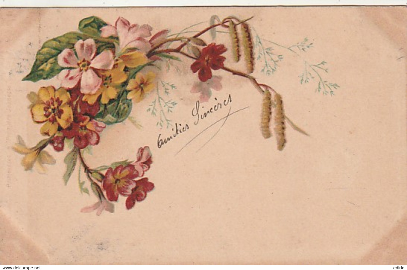 ***   ILLUSTRATEUR  *** FLEURS Par Illustrateur Fleurs S   --- Précureur Timbré TB - Vor 1900
