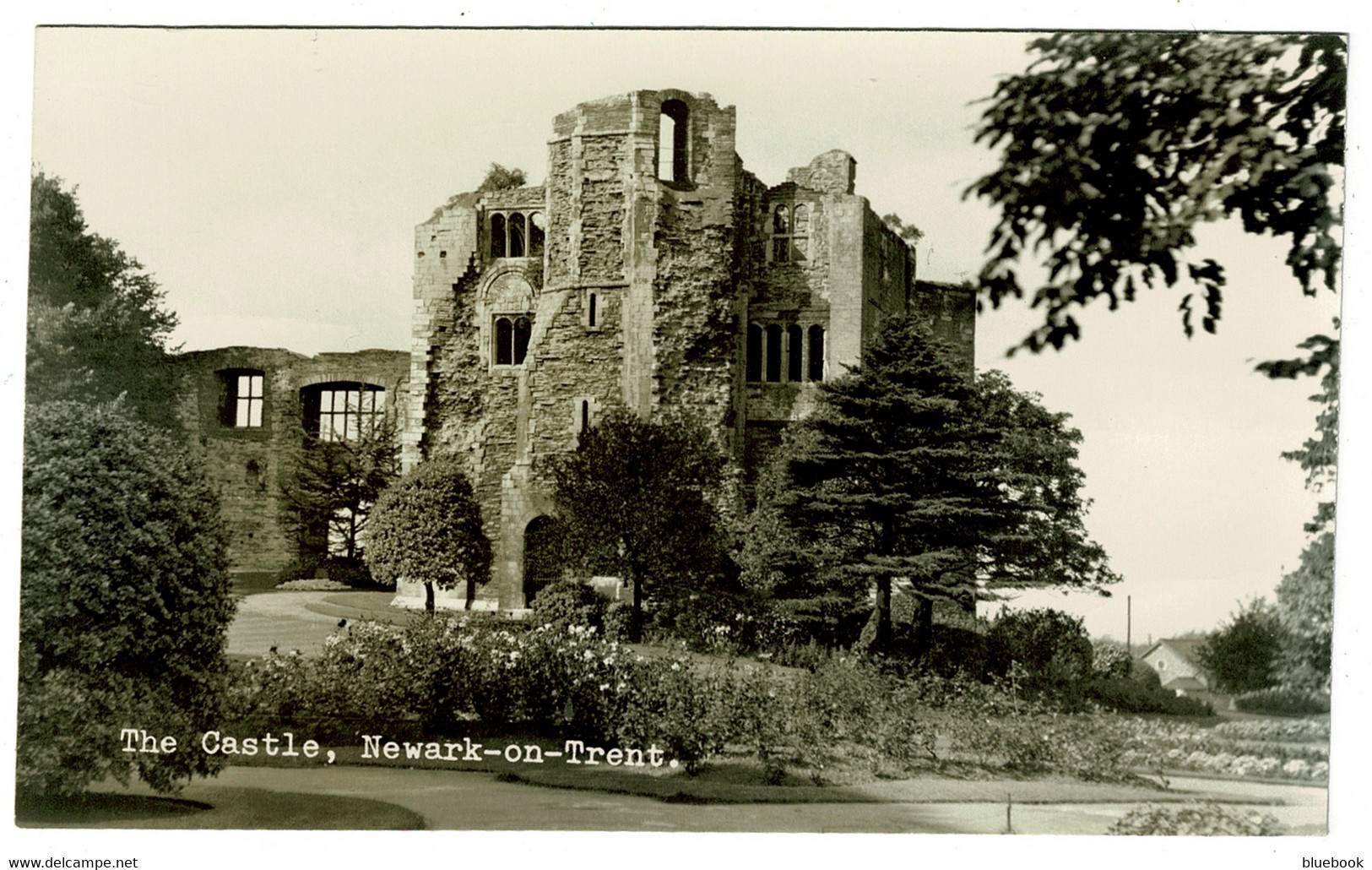 Ref 1504 - Real Photo Postcard - The Castle Newark-on-Trent Nottinghamshire - Otros & Sin Clasificación