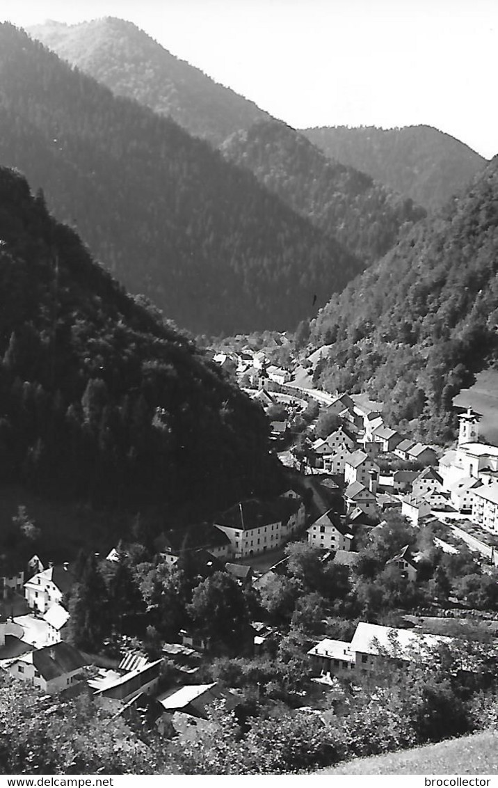 ZELEZNIKI ( Slovénie ) - Vue Générale   ( C.P.S.M. , Pt - Ft ) - Slowenien