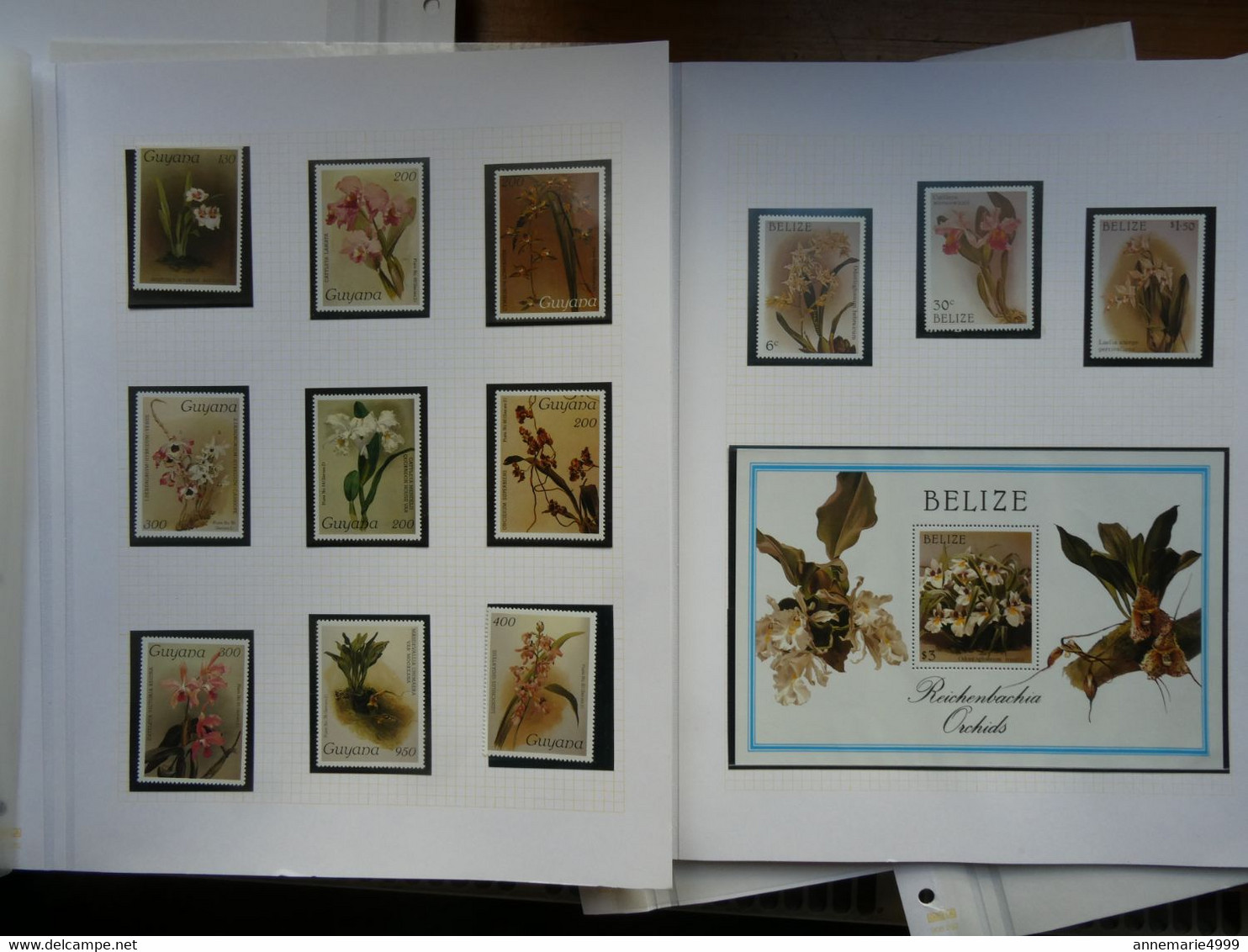 ORCHIDEES  ORCHIDS  GUYANA    204 timbres + 5 blocs de De 4 Neufs sans charnière Très beaux