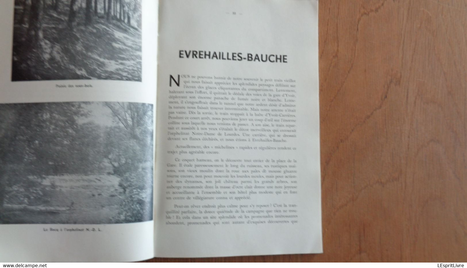 LA VALLEE DU BOCQ Régionalisme Crupet Yvoir Evrehaillles Bauche Source Spontin Poilvache Montaigle Yvoi Dorinnes Château