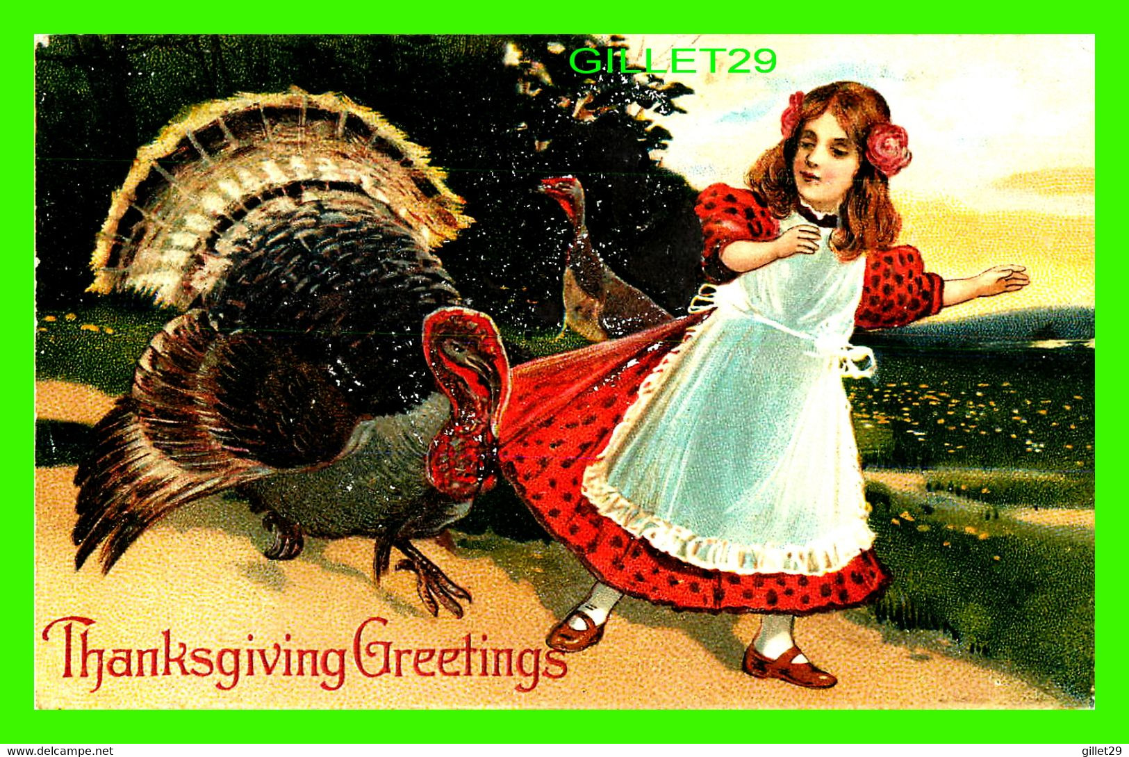 THANKSGIVING GREETINGS - TURKEY RUN A LITTLE GIRL - EMBOSSED - TRAVEL IN 1908 - P.B.P. - - Thanksgiving