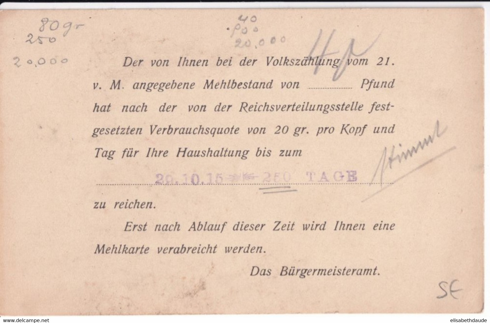 REICH - 1915 - CARTE De RESTRICTION De FARINE - 20g Par PERSONNE Et Par JOUR - Autres & Non Classés