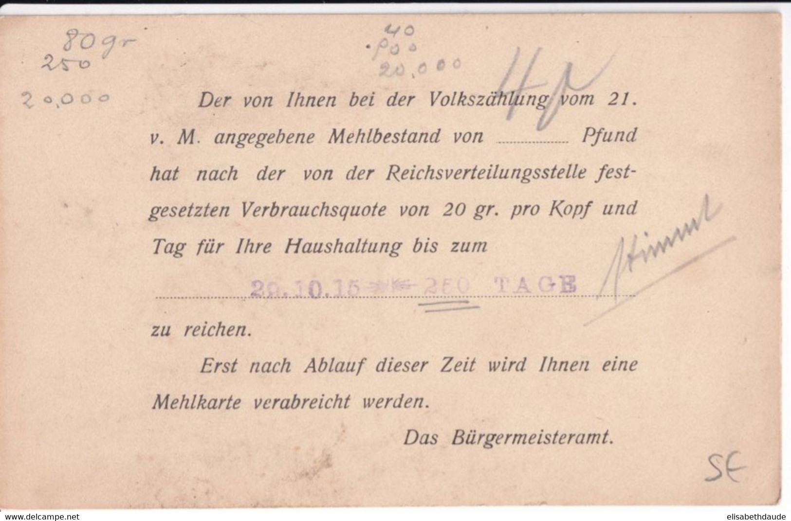REICH - 1915 - CARTE De RESTRICTION De FARINE - 20g Par PERSONNE Et Par JOUR - Sonstige & Ohne Zuordnung