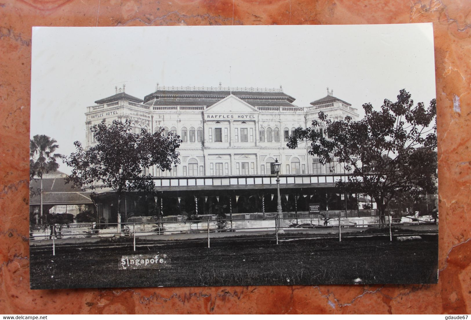 LOT DE 5 CARTES PHOTOS (CORRESPONDANCE QUI SE SUIT) - SINGAPORE - SUN SET MALAYA - ANIMAUX (CROCODILE, TIGRE) - Singapour