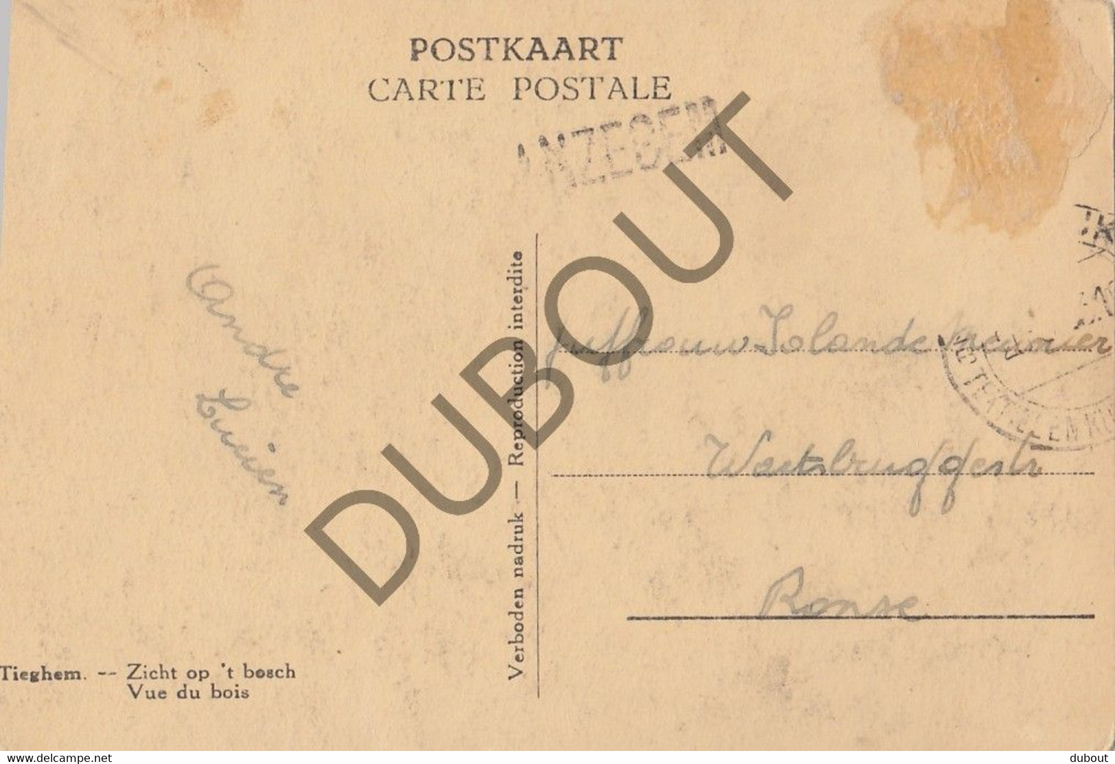 Postkaart-Carte Postale - TIEGEM Zicht Op Het Bosch (C1464) - Anzegem