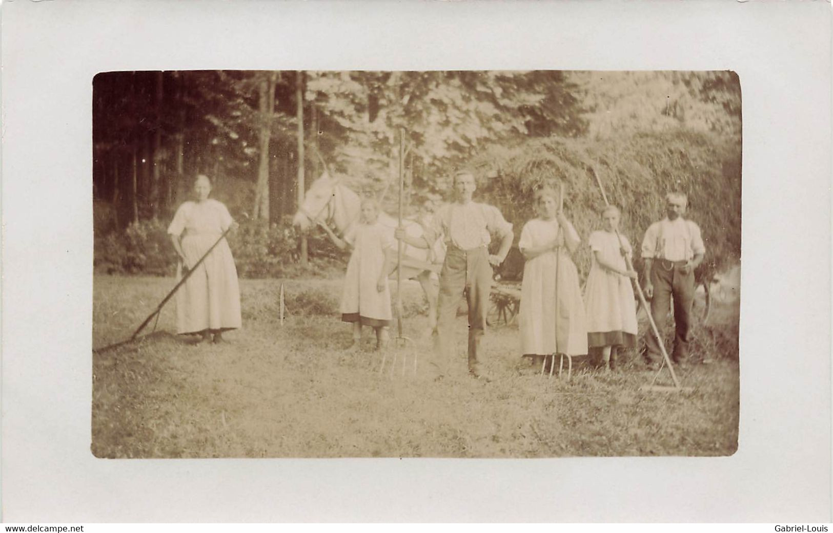 Carte-Photo - Non Située - Moissons Ernte  Feldarbeit Gespann Mit Pferd  Bauern  Landwirte - Other & Unclassified