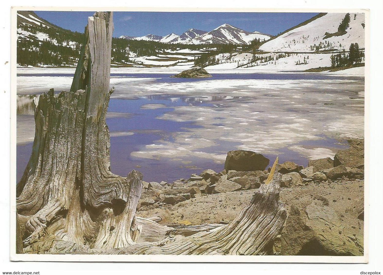 AA4159 California - Yosemite National Park - Tioga Lake In The Late Spring / Non Viaggiata - Yosemite