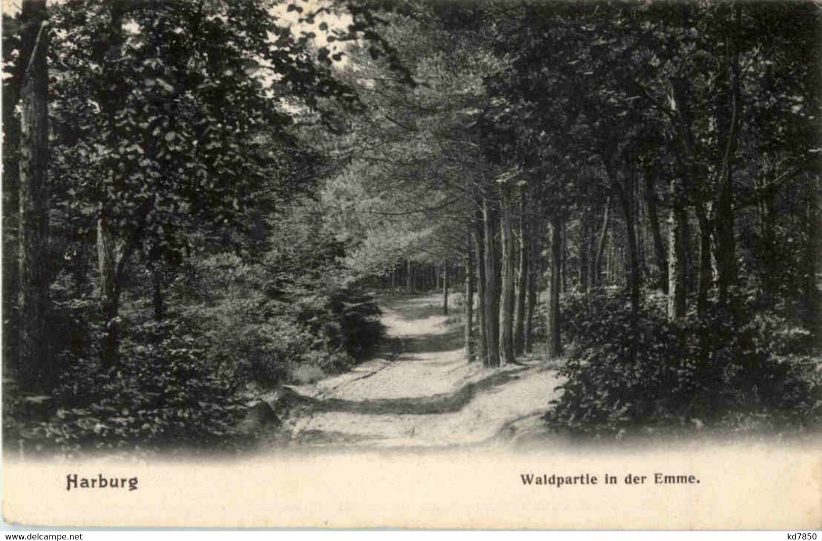 Harburg - Waldpartie In Der Emme - Harburg