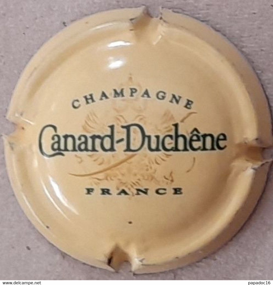 Plaque - Capsule De Muselet - Champagne Canard-Duchêne - Vert Et Or Sur Beige - Canard Duchêne