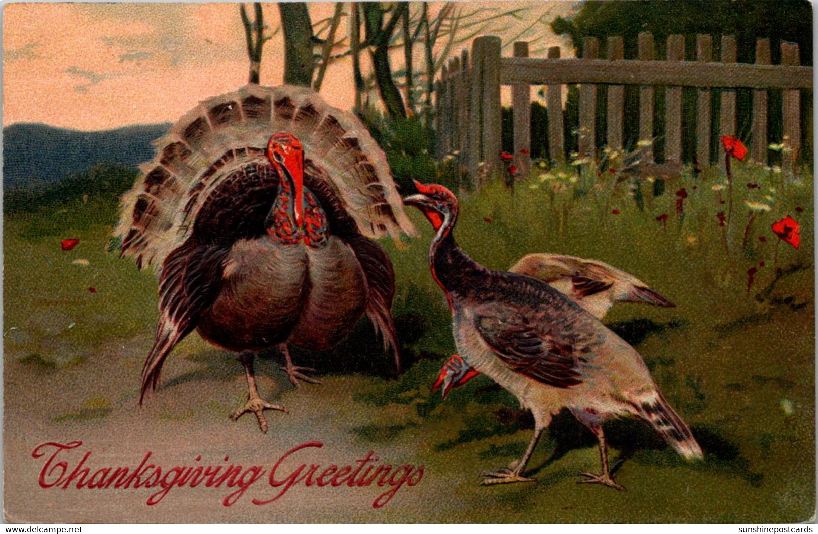 Thanksgiving Greetings With Turkey 1909 - Giorno Del Ringraziamento