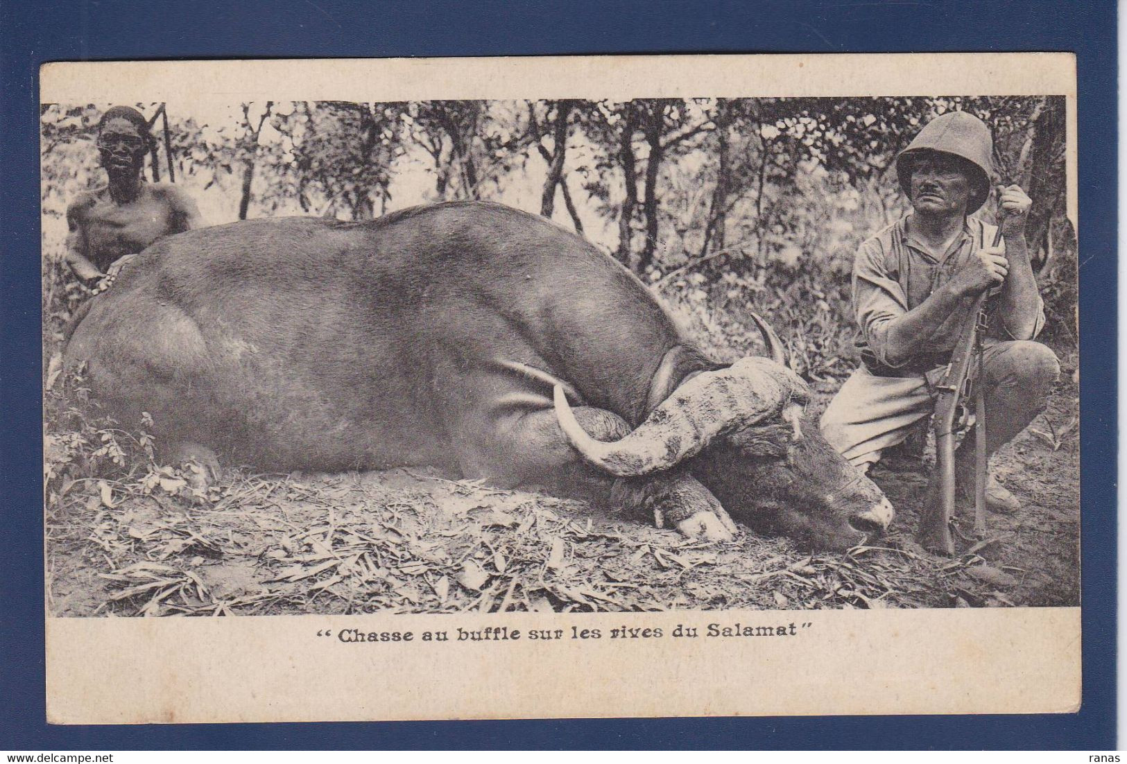 CPA Tchad Afrique Noire écrite Chasse Chasseur Buffle - Ciad