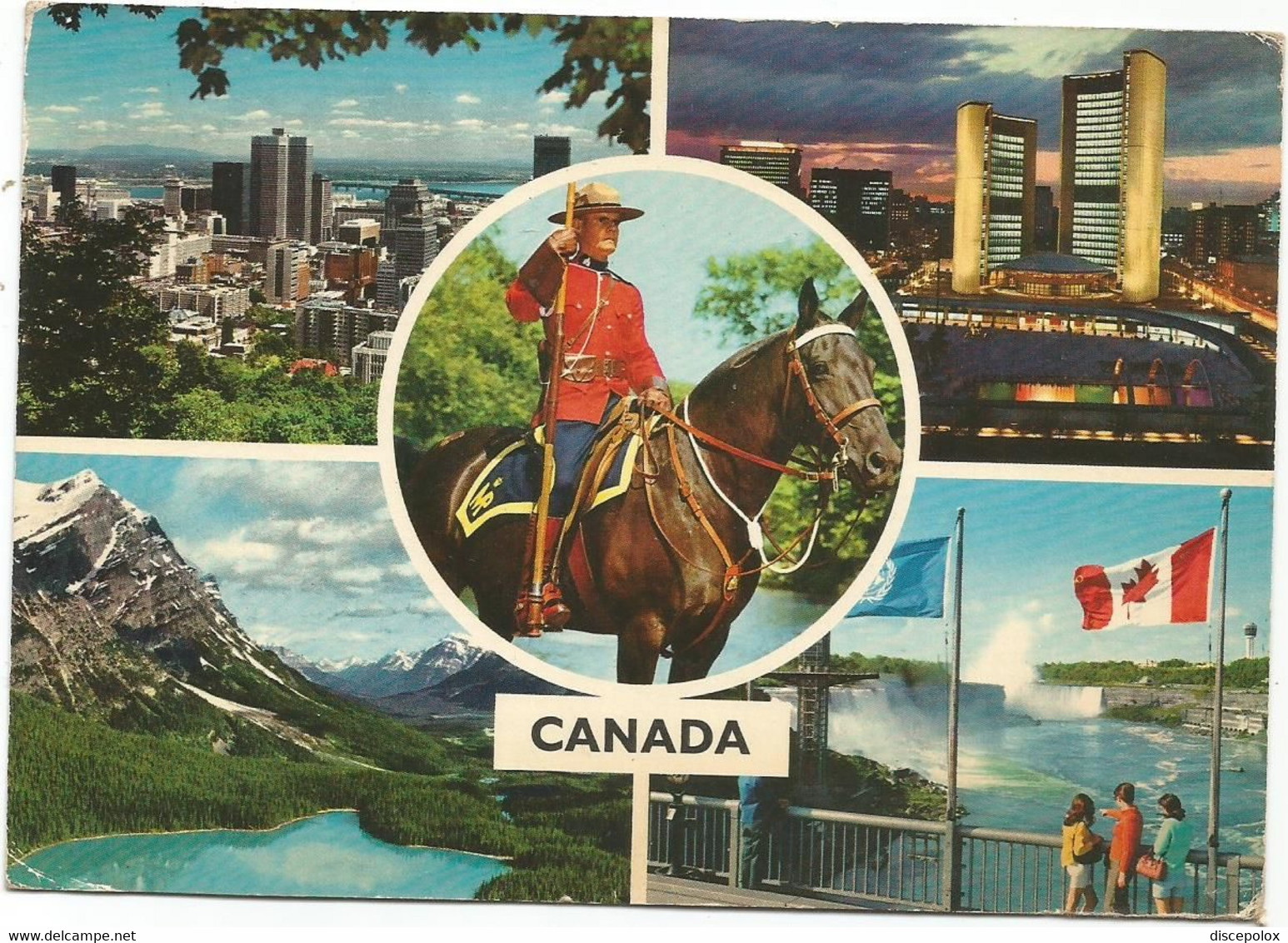 AA4185 Canada - Multiview - Cavalli Horses Chevaux Caballos Pferde / Viaggiata 1977 - Cartes Modernes