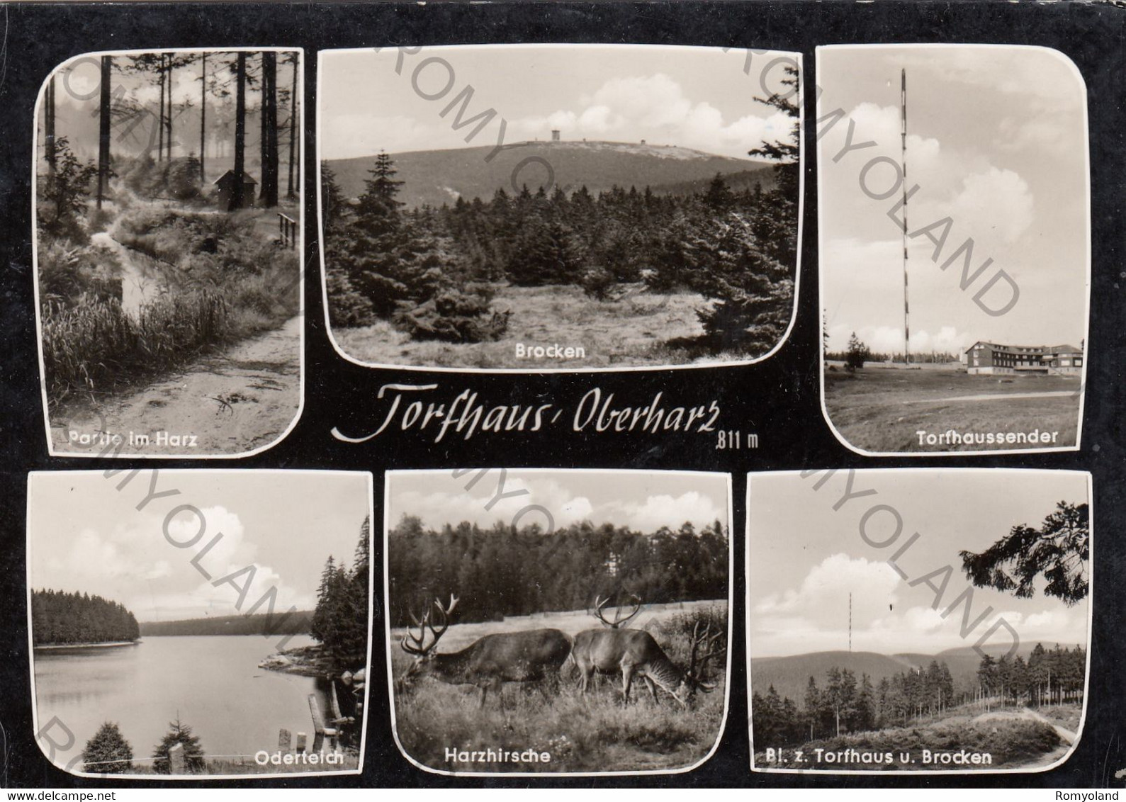 CARTOLINA  TORFHAUS-OBERHARZ,NIEDERSACHSEN,GERMANIA,VIAGGIATA 1965 - Oberharz