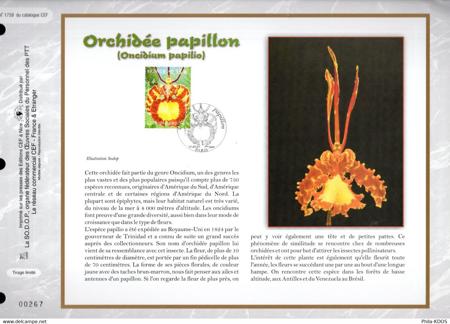 &#9989; " ORCHIDEE PAPILLON " Sur Feuillet CEF 1er Jour Nté De 2005 N° YT 3765. FDC - Orchideeën