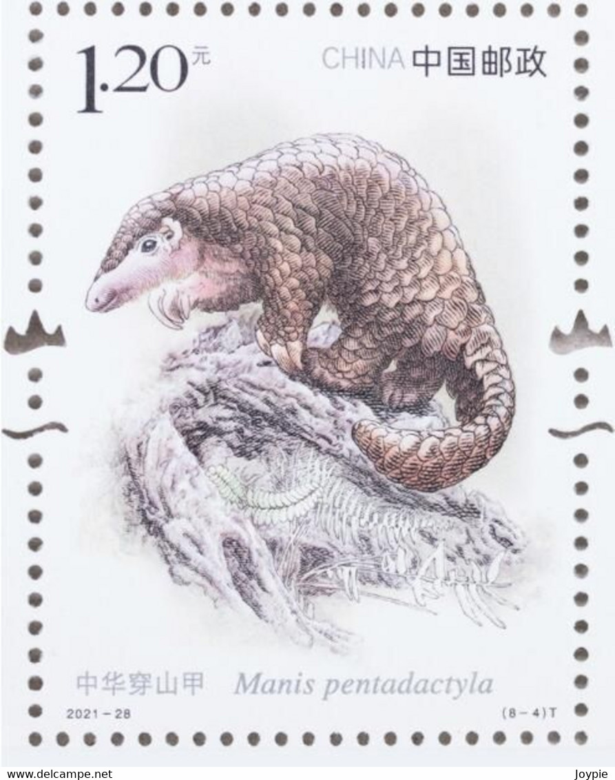 China(3 Dec.2021) 2021-28 "National Key Protected Wildlife (Level I) (3)". MNH, VF, Post Fresh - Nuovi