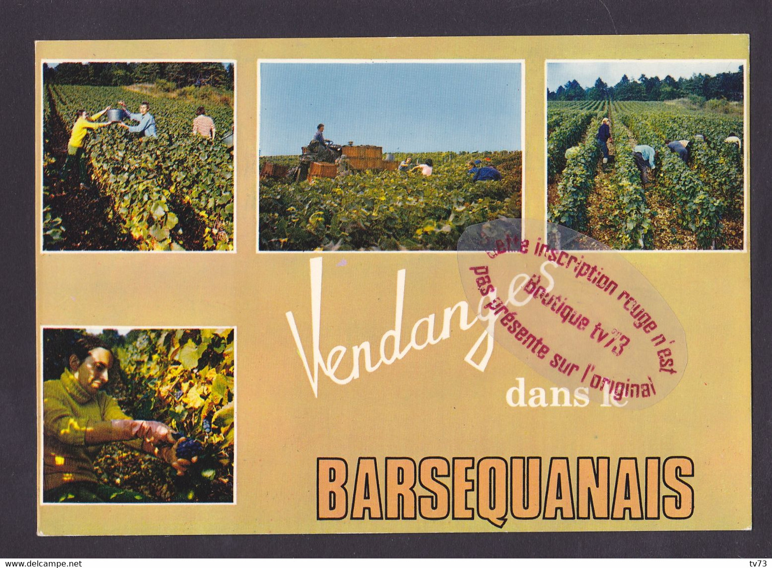 S2290 - BAR SUR SEINE - Vendanges Dans Le Barsequanais - Aube - Bar-sur-Seine