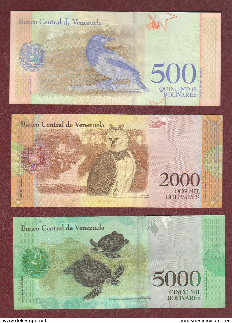 Sud America Lotto 4 Banconote Venezuela  3 Banknotes 500 2000 5000 Bolivares South America Animals - Sonstige – Amerika