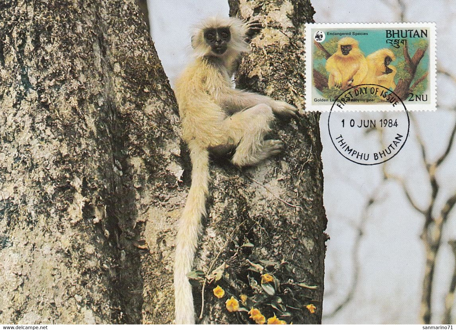 MAXIMUM CARD BHUTAN 842,WWF 6 - Tarjetas – Máxima