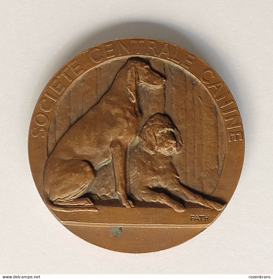 Ancienne Medaille Exposition Internationale De Paris 1939 Societe Centrale Canine Chien Dog Hond Old Medal France - Professionnels / De Société