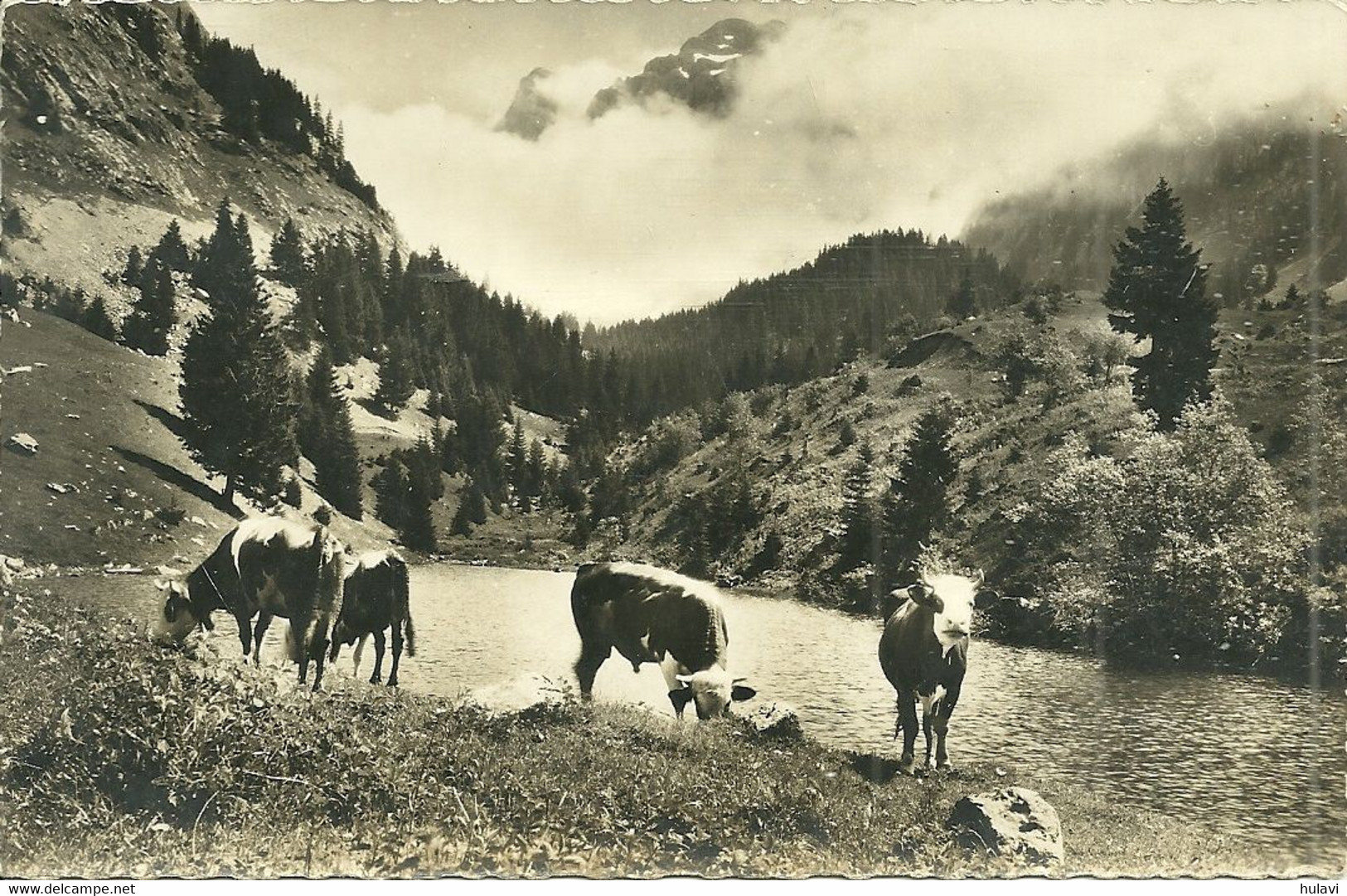 74  VACHERESSE - FONTAINE, LE LAC (ref A1989) - Vacheresse