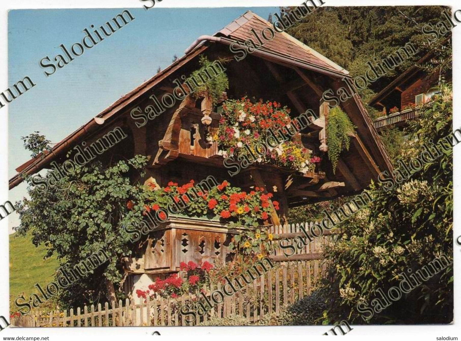 BERNER SPEICHER - Storia Postale - Speicher