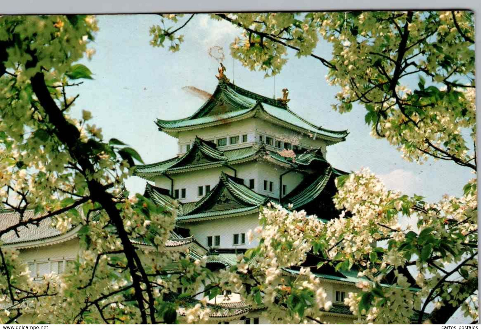 NAGOYA Castle And Full-blown Cherry Tree - Nagoya