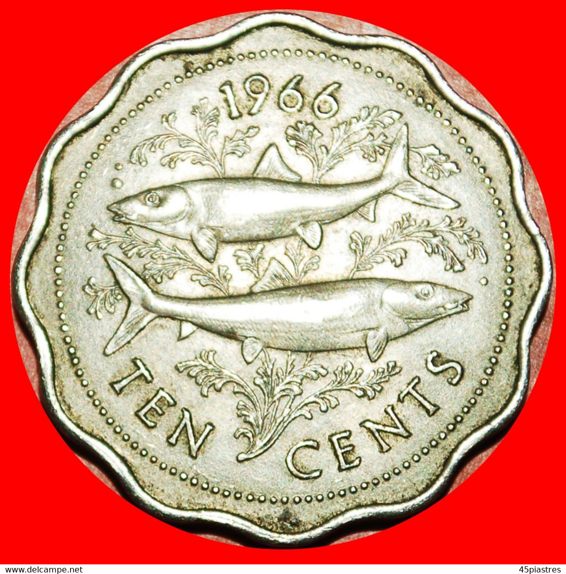 * GREAT BRITAIN (1966-1970): THE BAHAMAS ★ 10 CENTS 1966! FISHES! LOW START ★ NO RESERVE! - Bahamas