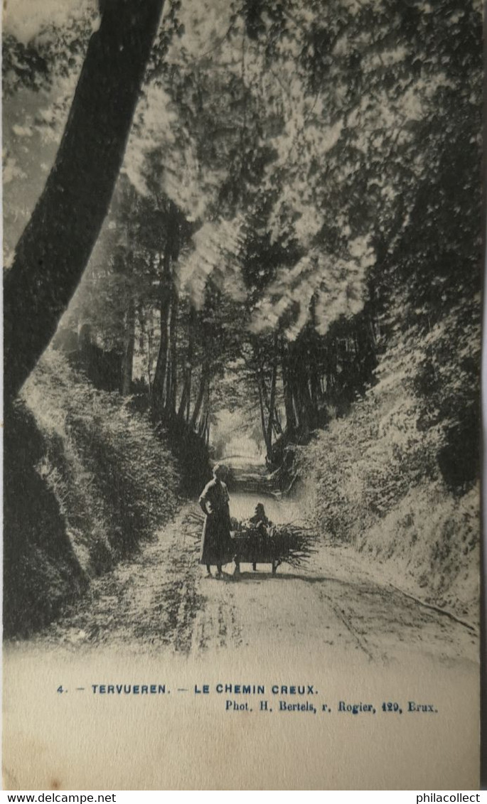 Tervuren - Tervueren // Le Chemin Creux (animee) No. 4. 1907 Ed. Bertels - Tervuren