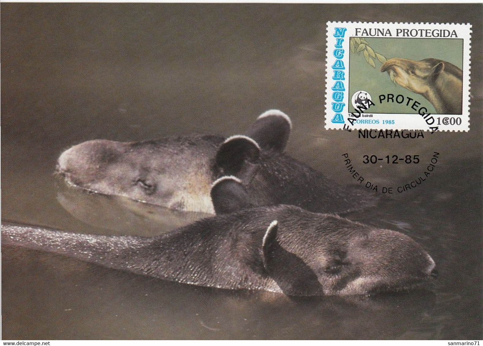 MAXIMUM CARD NICARAGUA 2627 - Tarjetas – Máxima