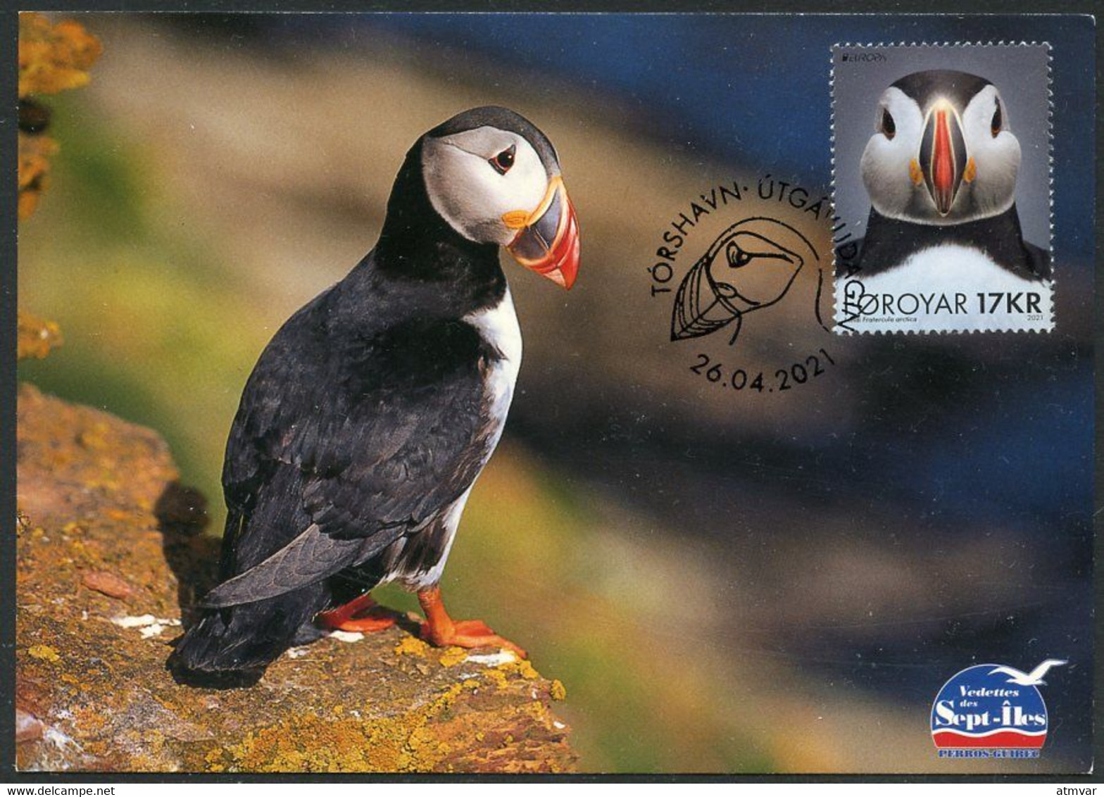 FAROE ISLANDS (2021) - Carte Maximum Card - EUROPA Macareux Moine, Puffin, Frailecillo, Lunde (Fratercula Arctica) - Isole Faroer