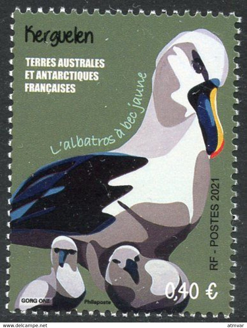 TAAF (2021) LES TAAF EN GRAAF Kerguelen Albatros à Bec Jaune, Thalassarche Chlororhynchos, Yellow-nosed Albatross - Nuovi