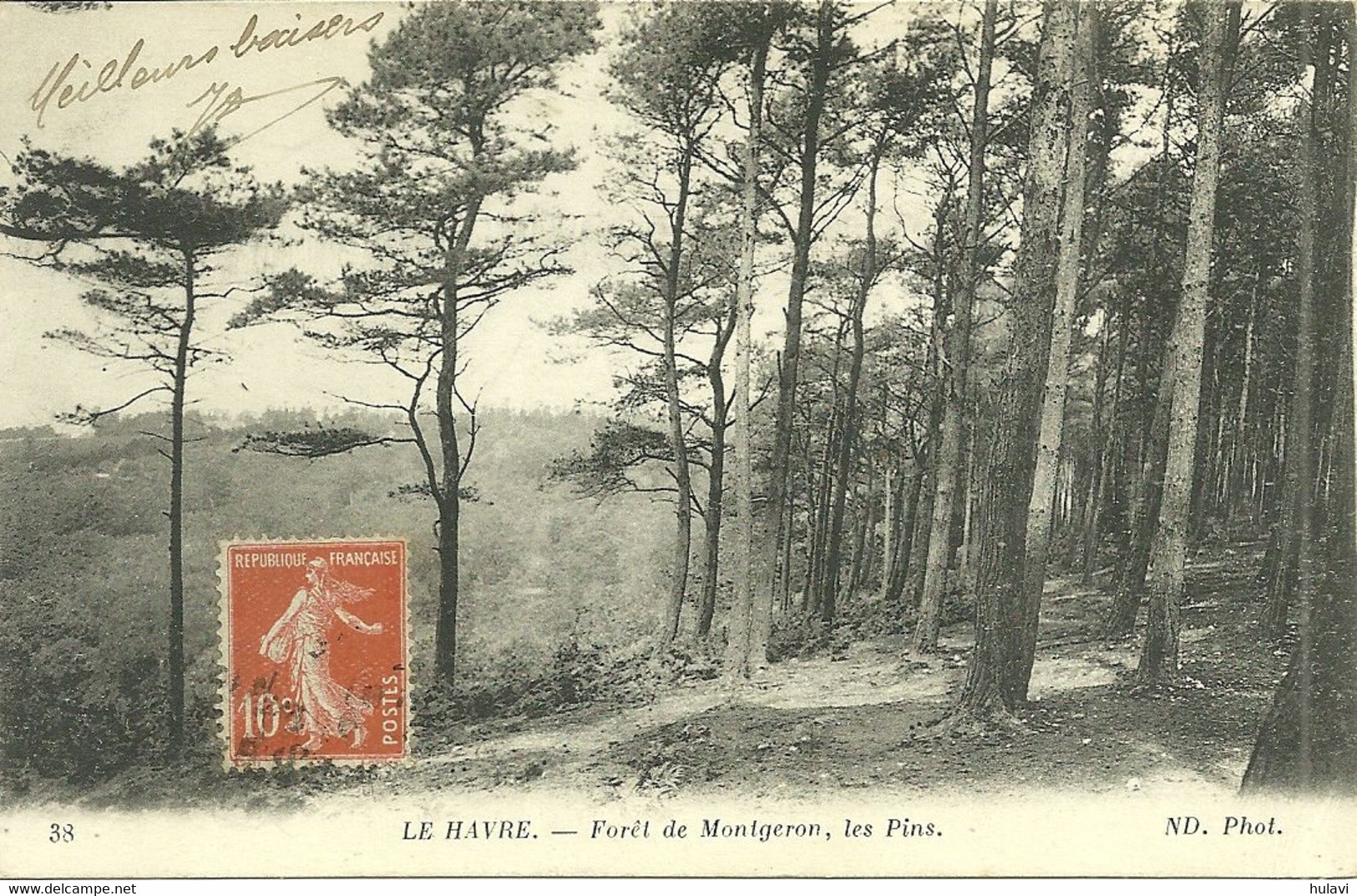 76  LE HAVRE - FORET DE MONTGERON - LES PINS (ref A2033) - Forêt De Montgeon