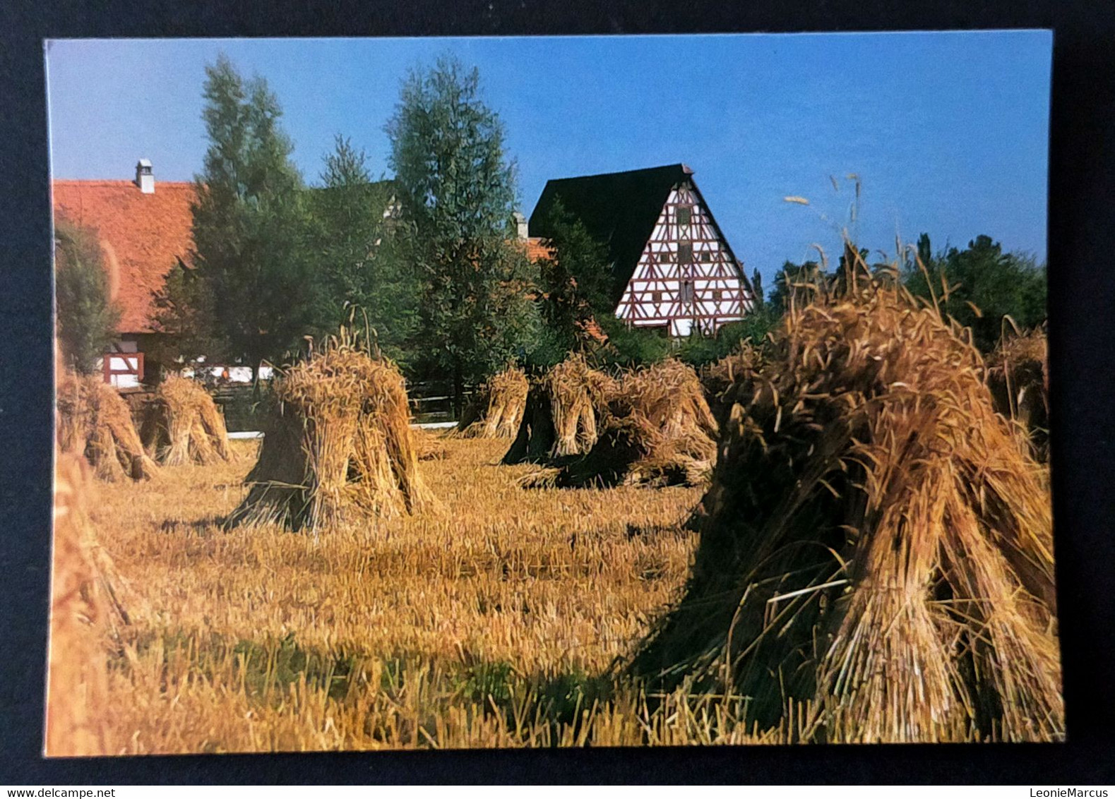 1497/CPM - Bad Windsheim - Musée Franconien En Plein Air - Freilandmuseum - Récolte De Céréales - Kornernte - - Bad Windsheim