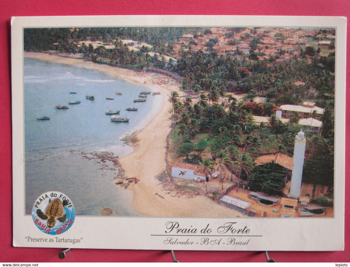 Visuel Très Peu Courant - Brésil - Salvador - Praia Do Forte - Em Destaque "Projeto Tamar" - Jolis Timbres - R/verso - Salvador De Bahia