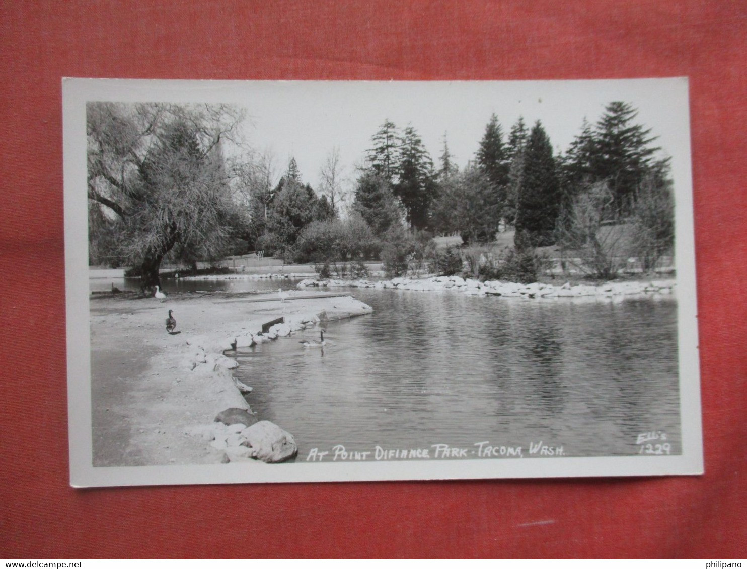 RPPC   Point Defiance Park.   Tacoma Washington > Tacoma   Ref  5308 - Tacoma