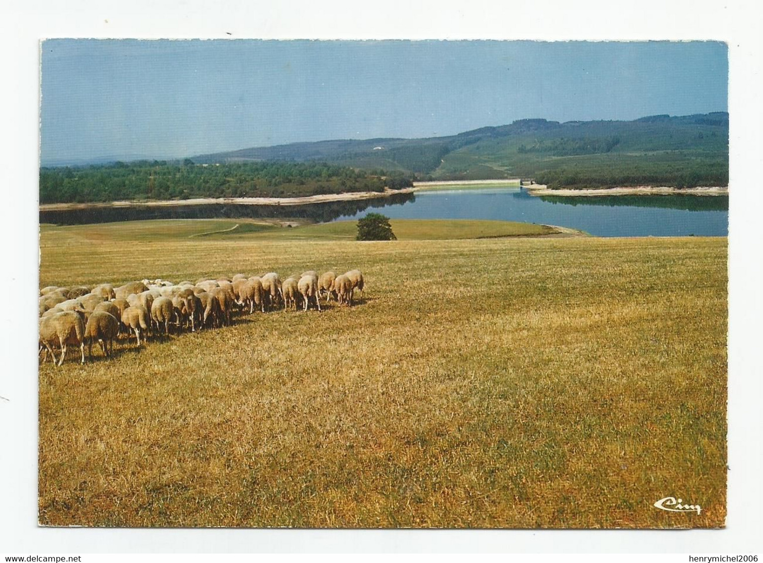 19 Corrèze Peyrelevade Le Plan D'eau Troupeau Moutons - Other & Unclassified