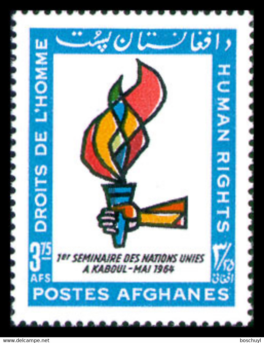 Afghanistan, 1964, Human Rights Seminar, United Nations, MNH, Michel 914 - Afghanistan