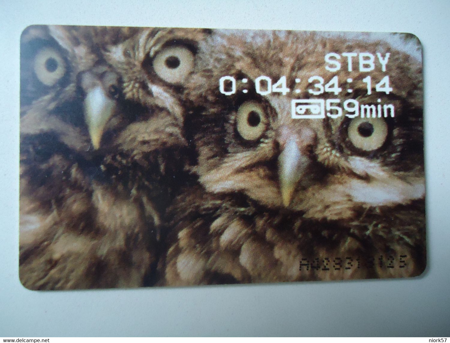 NETHERLANDS  USED PHONECARDS  BIRDS   OWLS - Owls