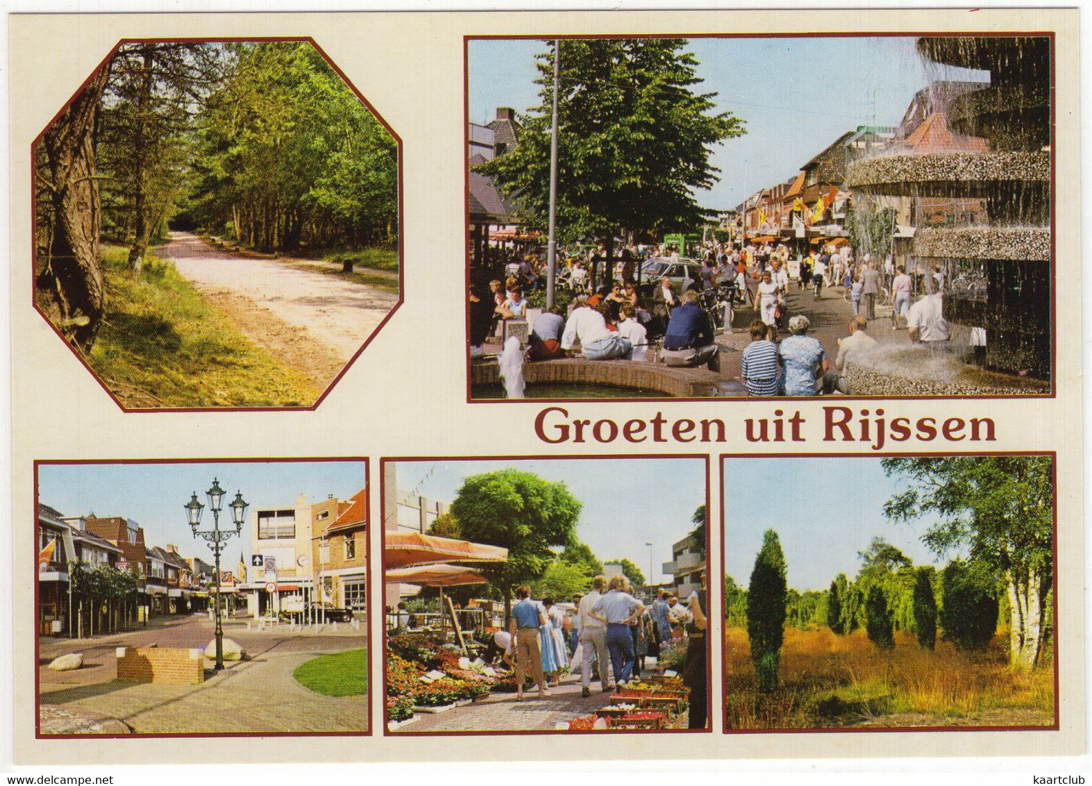 Groeten Uit Rijssen - (Overijssel, Nederland / Holland) - RIN 12 - Fontein Schild, Markt, Natuur - Rijssen