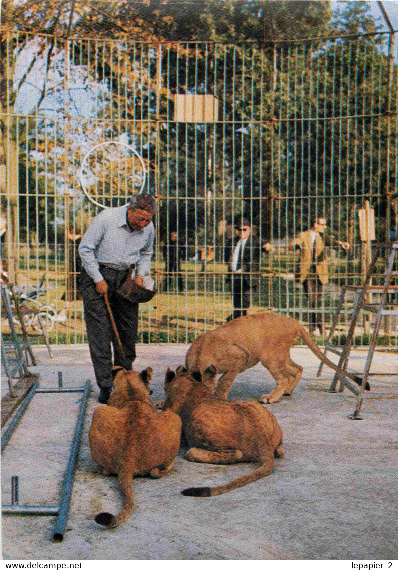 77 Ozoir La Ferriere  ZOO Du Bois D'Attilly Dresseur De Lion CPM - Altri & Non Classificati