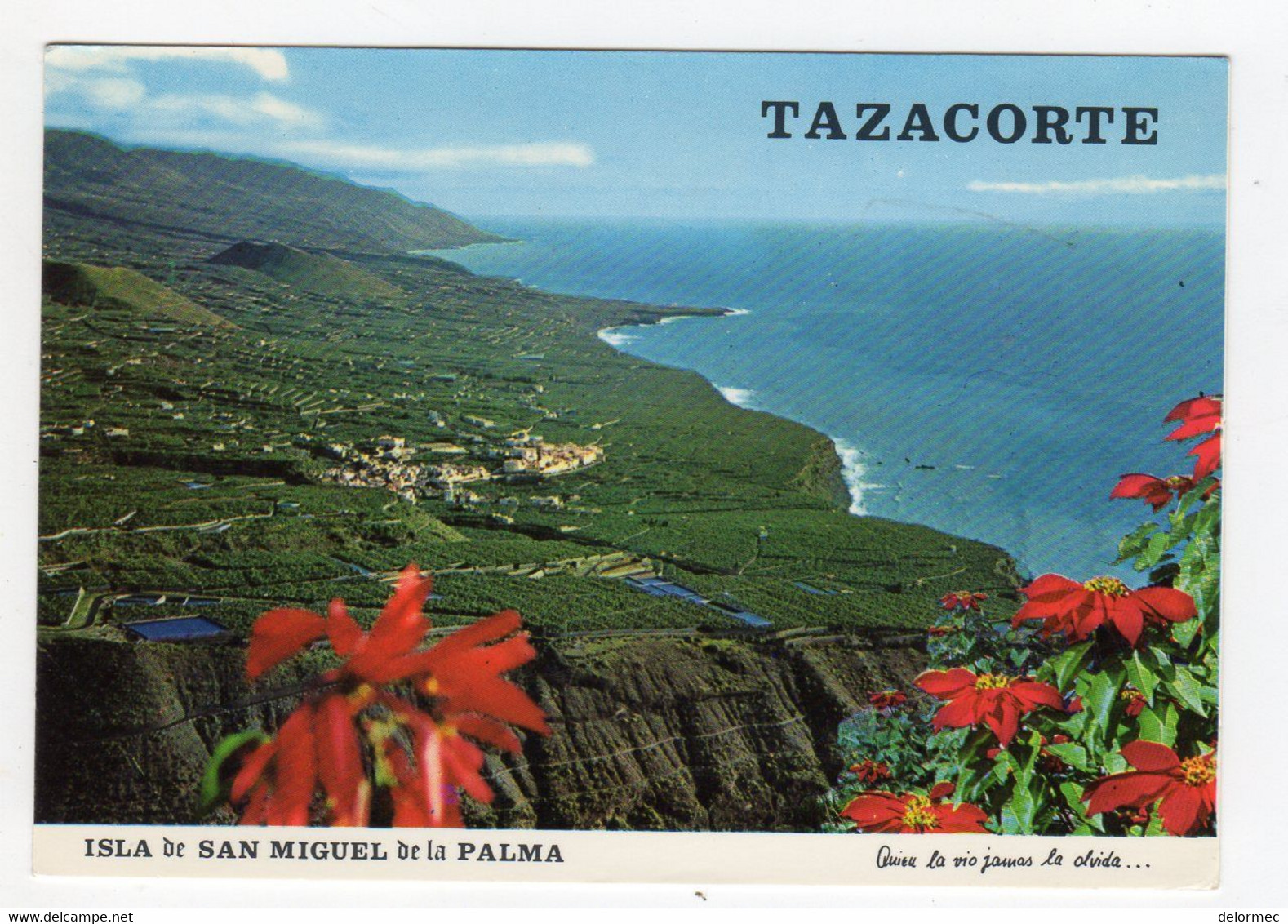 CPM Tazacorte Isla San Miguel De La Palma Islas Canarias Village Et Côte Costa éd David Barcelona - La Palma