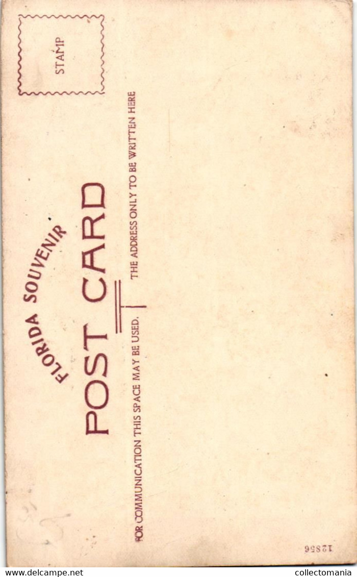 14 PC FLORIDA  Cocoa Jacksonville Pierce Fort Pierce Vero Beah Miami Oklawaha River Jacksonville Main str.  Hudson Soap