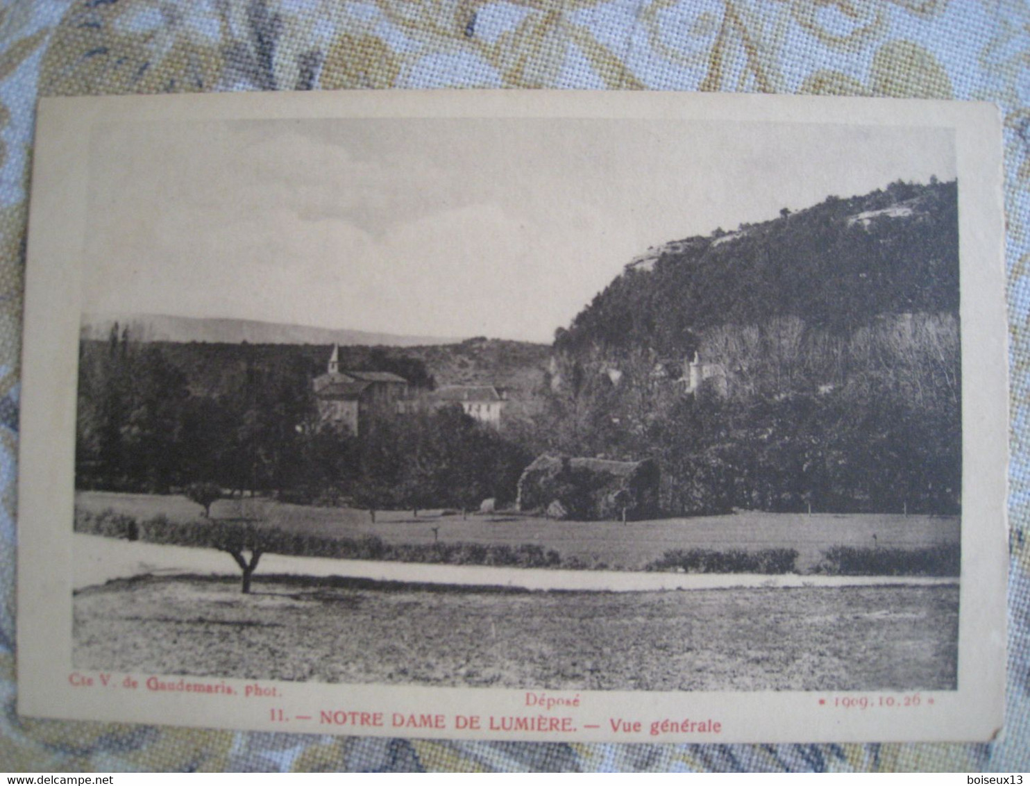 CPA. NOTRE-DAME DE LUMIERE.  Vue Générale. - Bellegarde-sur-Valserine