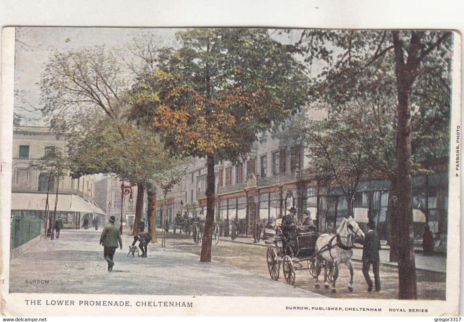 A3598) The LOWER PROMENADE CHELTENHAM - Burrow Publisher Signiert  OLD KUTSCHE 1907 - Cheltenham