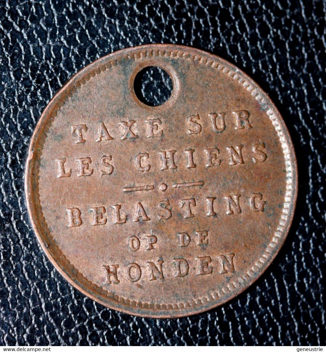 Jeton De Taxe Sur Les Chiens "Année 1926 - Belgique / Belgie" Médaille De Chien - Dog License Tax Tag - Monedas / De Necesidad