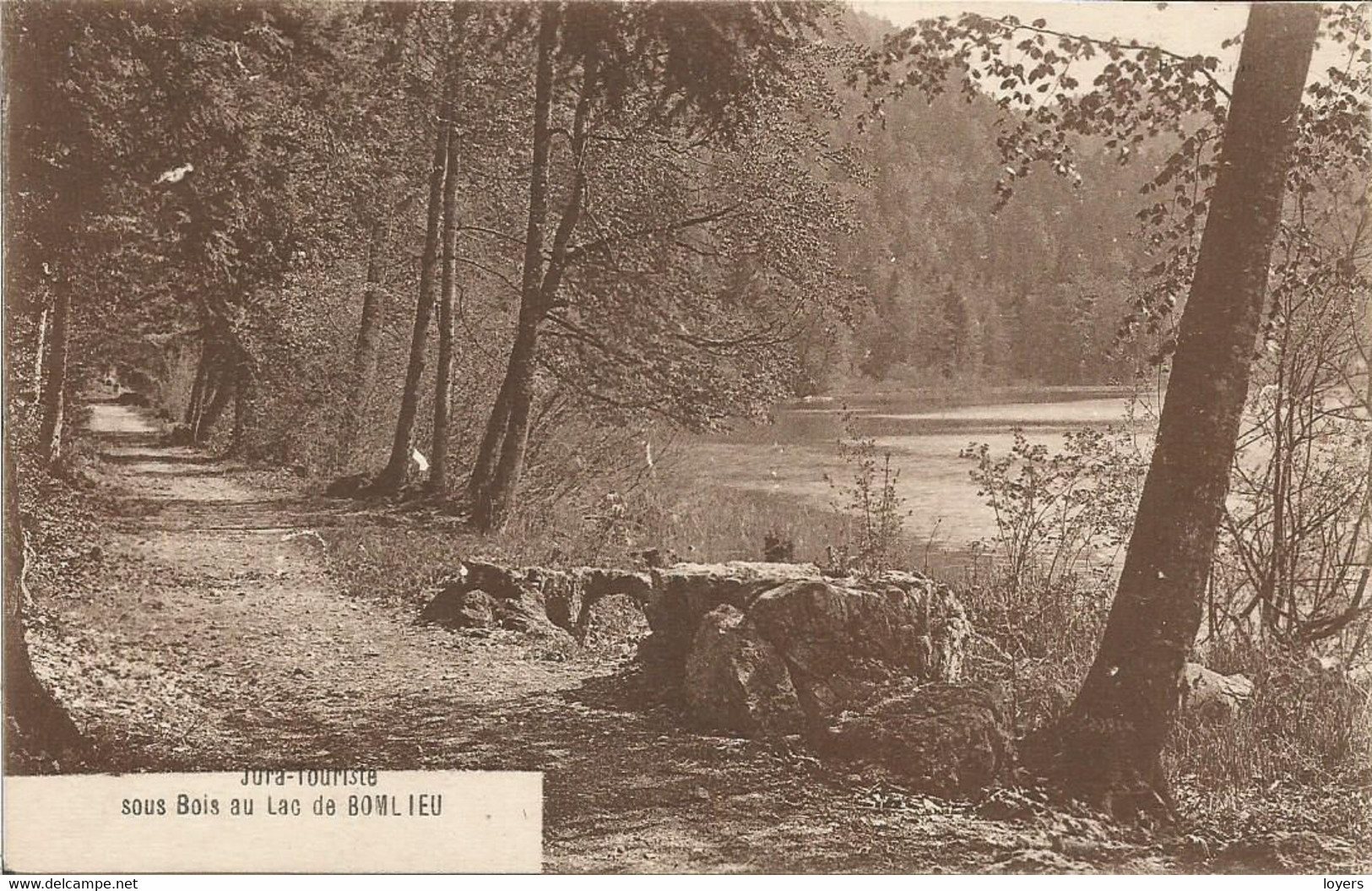 JURA-TOURISTE Sous Bois Au  Lac De Bonlieu.  (scan Verso) - Otros & Sin Clasificación